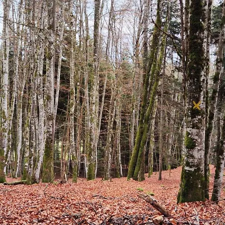 Maison De Caractere Willa *